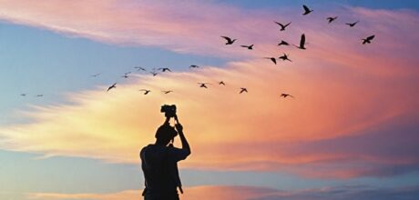 Técnicas Avançadas para Fotografar Pássaros em Voo: Um Guia Completo