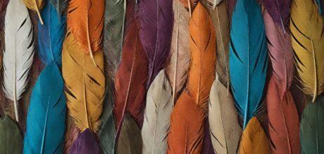 Como os pássaros influenciam moda e design modernos