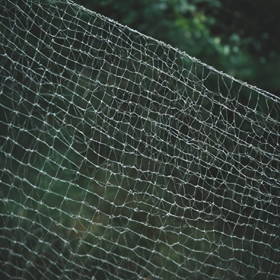 Como utilizar redes de varredura para captura de insetos de forma eficaz