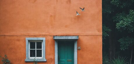 Habitação Perdida: A Principal Ameaça aos Pássaros e Como Combatê-la