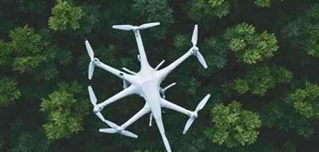 Como Drones Estão Revolucionando a Observação da Vida Selvagem na Natureza