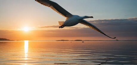 As aves com maior envergadura do mundo: curiosidades e fatos